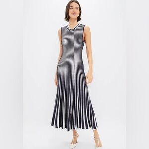 NWT Tuckernuck Amie dress size small!